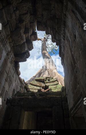 Ancient Of Prasat Preah Khan Temple At Angkor Wat Complex Angkor Wat