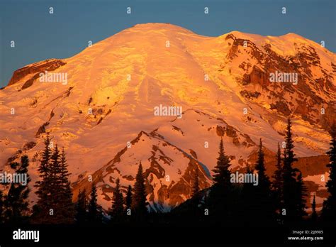 Mt Rainier at sunrise from Sunrise, Mt Rainier National Park, Washington Stock Photo - Alamy