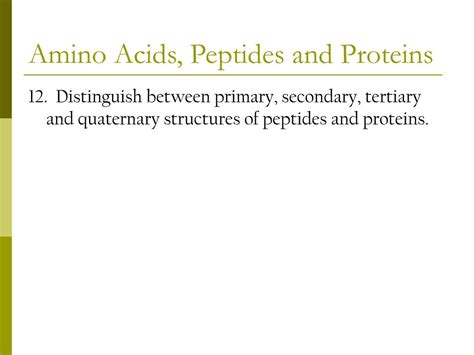 Ppt Amino Acids Peptides And Proteins Powerpoint Presentation Free