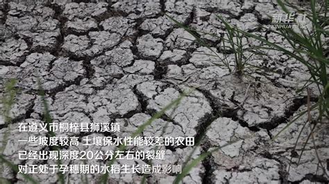 新华全媒｜南方各地抗旱保秋收 保障生产生活用水凤凰网视频凤凰网