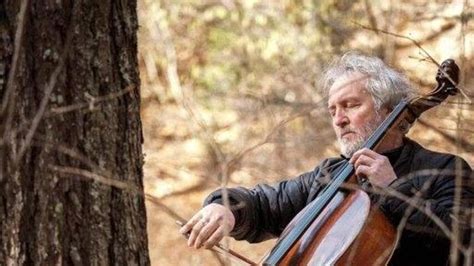 Alberi Abbattuti Per La Pista Da Bob A Cortina Il Violoncellista