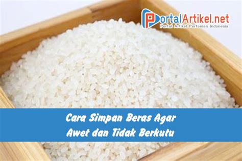 Tips Mudah Menyimpan Beras Agar Awet Tidak Berkutu Dan Tahan Lama