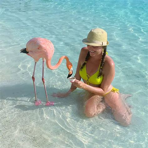 Flamingo Beach: How to Chill With Flamingos in Aruba - Traveling Twilley