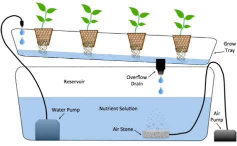 What Is Nft System Nutrient Film Technique In Hydroponics Farming