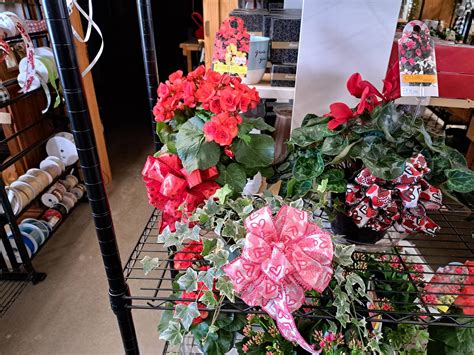 Fritz Nursery & Garden Center, Inc, Floral & GIfts | Stockton IL