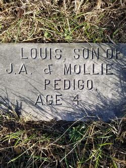 Louis Pedigo Mémorial Find a Grave