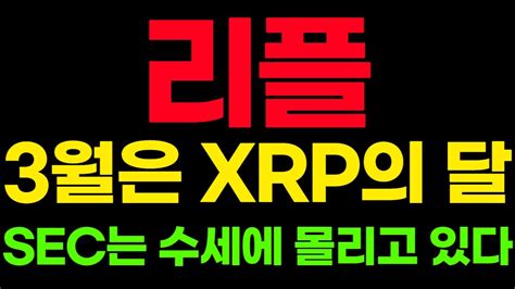 리플 코인 3월은 Xrp의 달 Sec는 수세에 몰리고 있다 리플 리플시세 리플전망 리플소송 리플소송결과 리플실시간