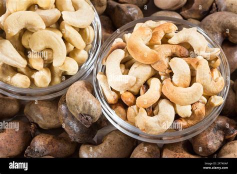 Natural And Roasted Cashew Nut Anacardium Occidentale Stock Photo Alamy