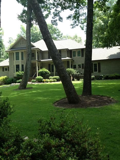 Palisades Zoysia Mccurdy Sod Farm