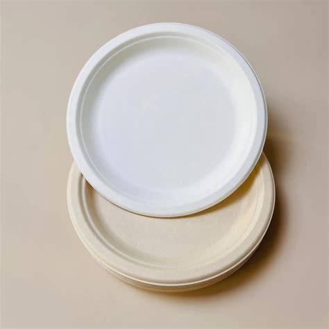 Eco Friendly Sugarcane Bagasse Party Dinner Round Oval Disposable Plate