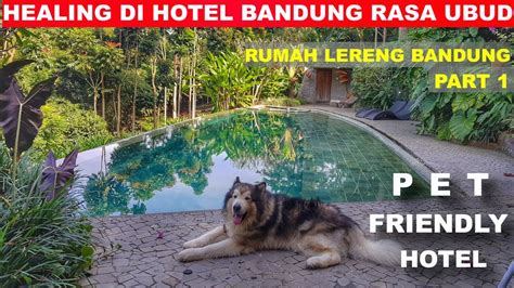 Healing Di Pet Friendly Hotel Bandung Rasa Ubud Rumah Lereng Bandung