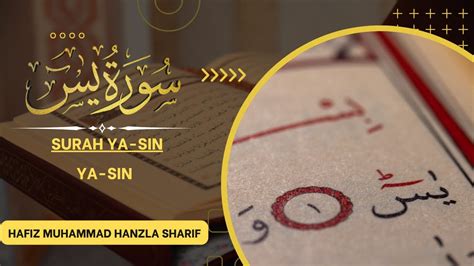 Surah Yasin Yaseen By Hafiz Muhammad Hanzla Sharif Full With