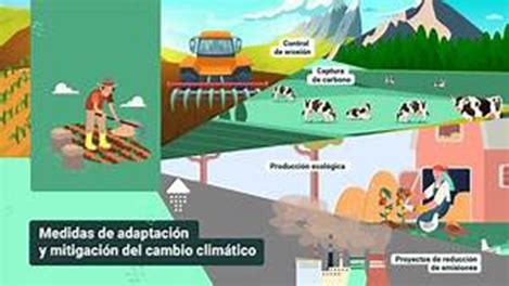 Los Impactos del Cambio Climático en la Migración Humana y Cómo Abordar