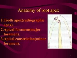 Endometrics 140324104011 Phpapp01 PPT