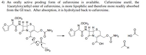 Cephalosporins Carbapenems And Monobactams Cushman Lo Flashcards