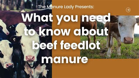 Intro To Feedlot Manure Management Youtube