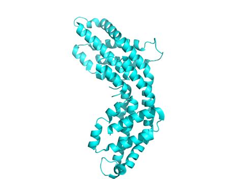 Découvrez les bienfaits de la phycocyanine un allié naturel pour