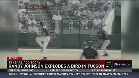 Bird killed by Randy Johnson pitch 21 years ago today | 12news.com