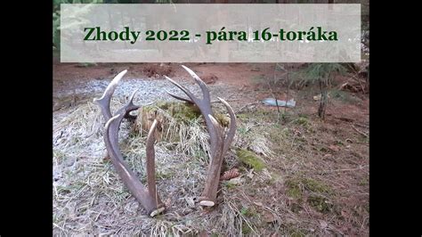 Zhody 2022 pára 16 toráka Zrzuty 2022 para 16 staka YouTube