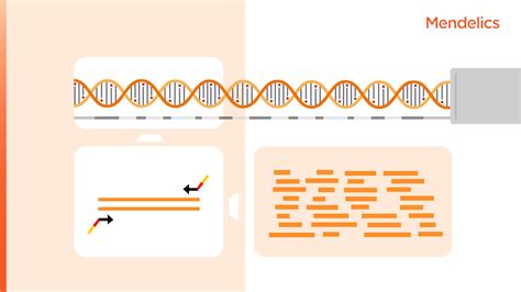 Entenda As T Cnicas De Ngs Targeted Sequencing Blog Mendelics