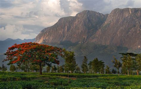 The Highest Mountain in South-Central Africa: Mount Mulanje [Photos ...