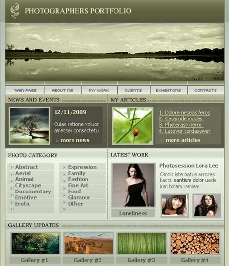 30+ Free Flash Website Templates