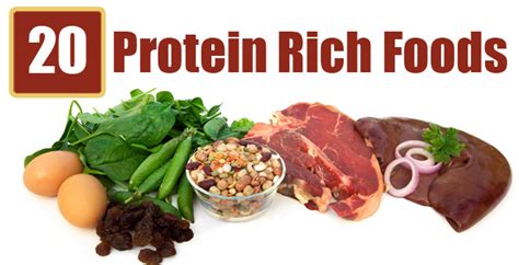 Top 20 High Protein Rich Foods