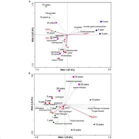 Rda Analysis Of The Fungal Communities At The Order Level A And Download Scientific Diagram