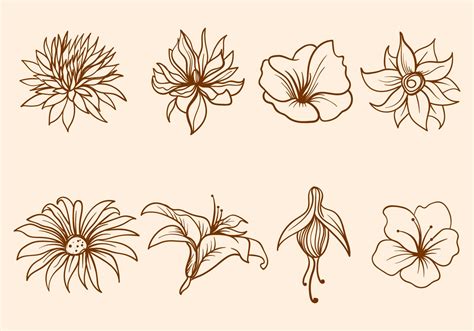 Hand Drawn Flower Vector 137362 Vector Art At Vecteezy