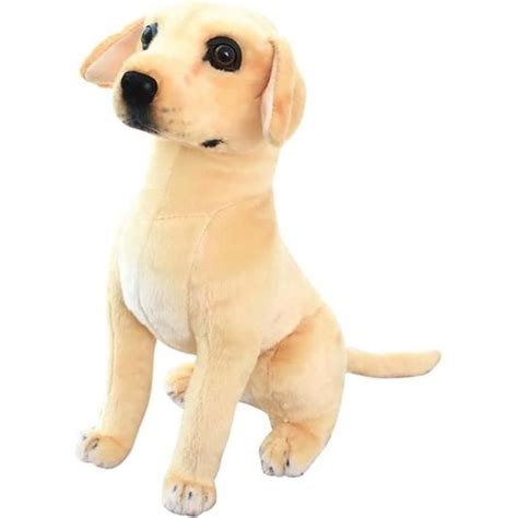 Golden Retriever En Peluche Chien En Peluche Simulation Animaux Peluche