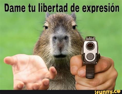 Dame Tu Libertad De Expresion Ifunny