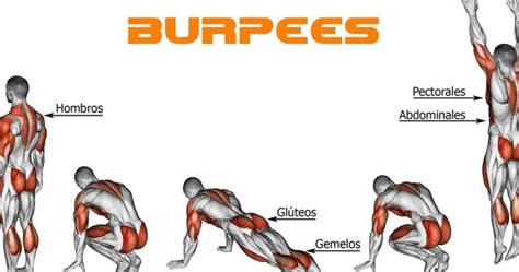 Que M Sculos Se Trabajan En Los Burpees Descubre Los Beneficios