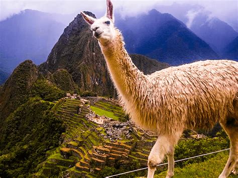 Machupicchu Center