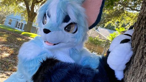 Kemono Fox Fursuit - YouTube