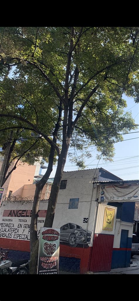 Venta Lote De Terreno En Santa Maria Nonoalco Benito Ju Rez Cdmx