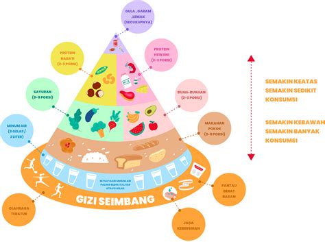 Piramida Gizi Seimbang Png 41 Koleksi Gambar