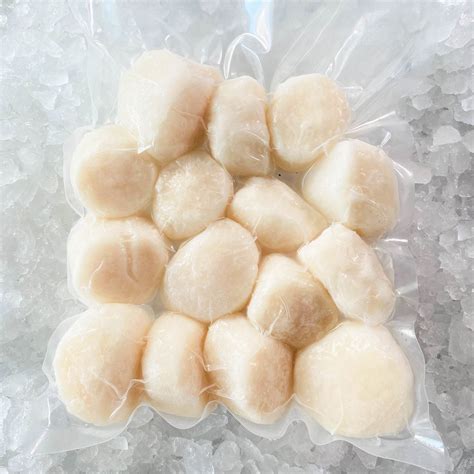 Large Frozen Scallops, 500 G, 49% OFF | www.pinnaxis.com