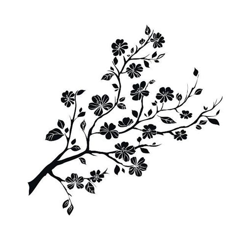 Twig Sakura Blossoms Vector Illustration Black Silhouette Melhores