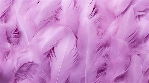 Gorgeous Texture Background With Light Purple Bird Feathers Feather