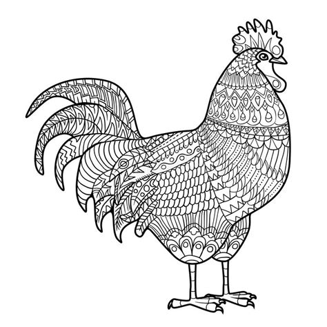 Rooster Coloring Pages Birds