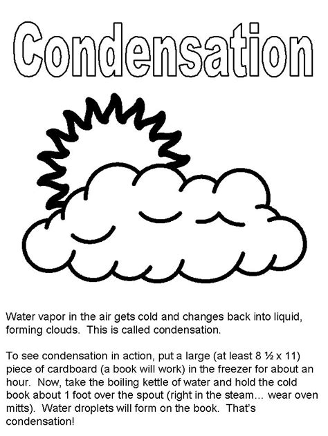 Water Cycle Condensation Water Cycle Water Cycle Activities