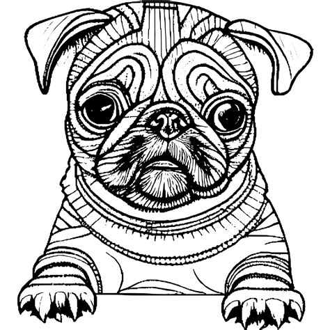 Cute Dogs Coloring Page · Creative Fabrica