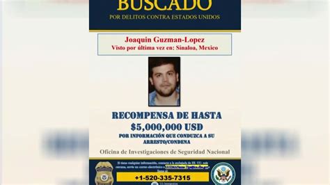 Watch Noticias Telemundo En La Noche Highlight Eeuu Difunde Foto Actualizada De El Chapito