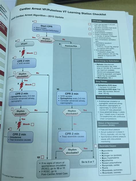 Acls Algorithm And Drug Dosages