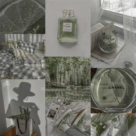 Sage Green Collage Kit Hellgr N Oliv Sthetik Wandcollage Etsy Schweiz