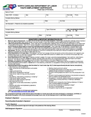 Nc Workers Permit Form Fill Out And Sign Printable Pdf