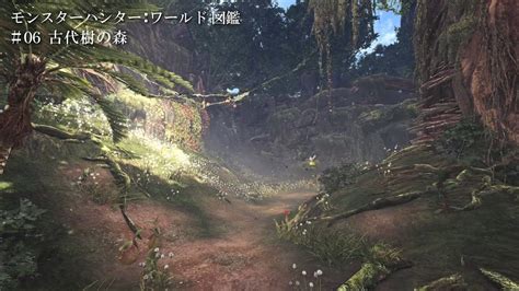 √ダウンロード Mhw ライトクリスタル 下位 212620 Mhw ライトクリスタル 下位 Saesipapictthi