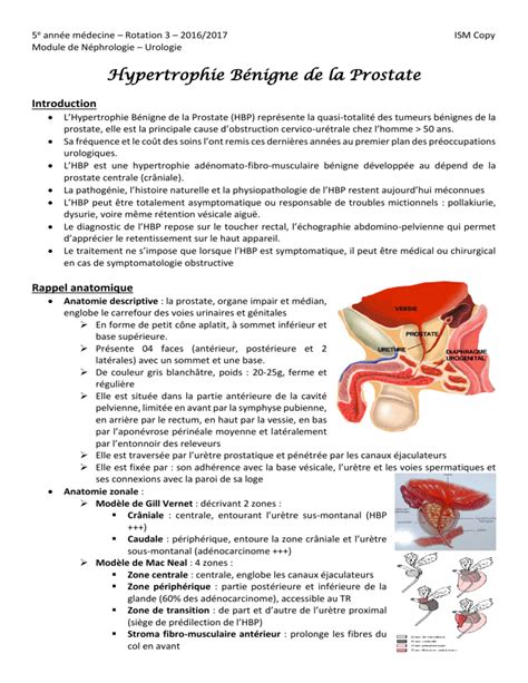 Hypertrophie B Nigne De La Prostate Introduction