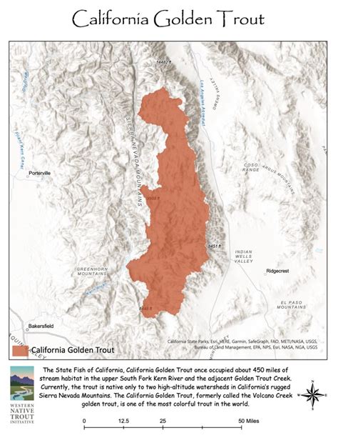 California Golden Trout Western Native Trout Initiative