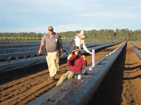 Our History — Mountain Blue